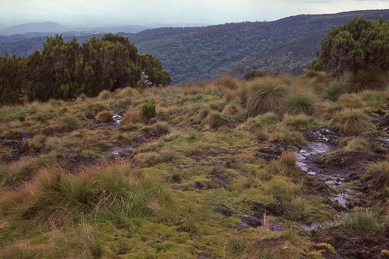 WT 1400 222-16 Kenya.jpg